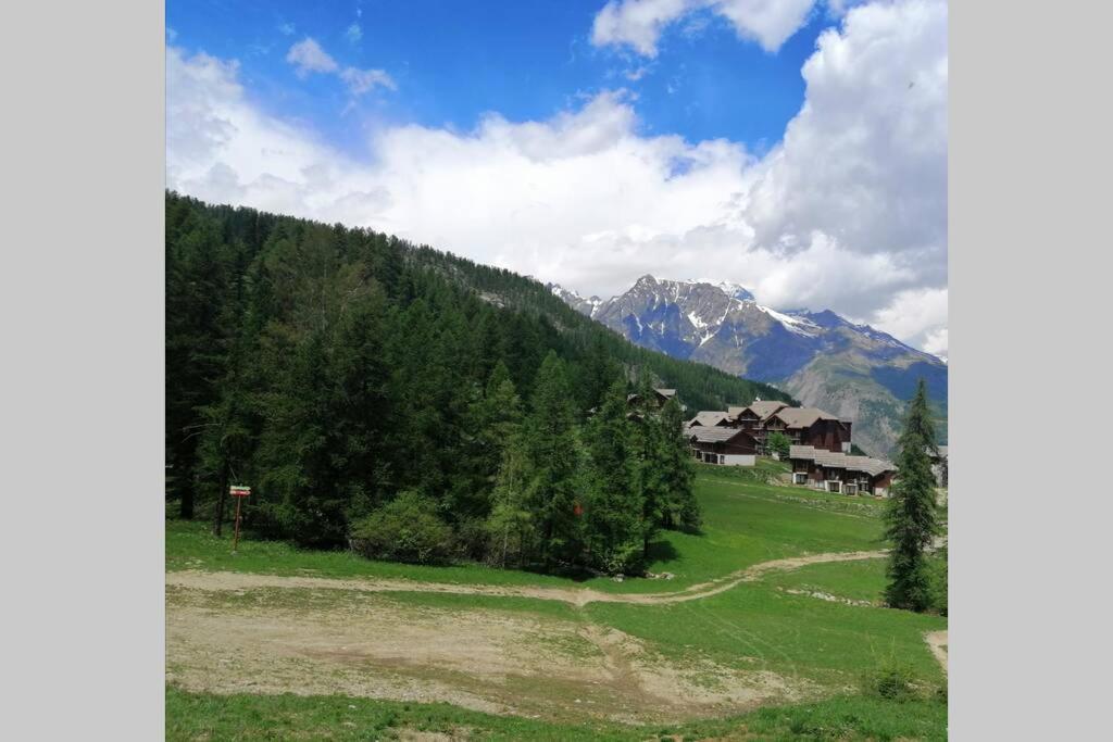 Appartement Puy Saint Vincent Alpes Du Sud Ete - Hiver بوي-سانت-فينسينت المظهر الخارجي الصورة